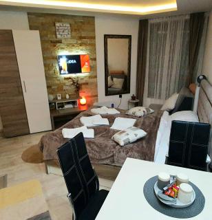 Studio MIPS S58 Milmari Resort Kopaonik - Kopaonik - 7