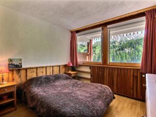 Grand appartement au pied des pistes avec balcon, pour 6 personnes - FR-1-455-40 - La Plagne - 5