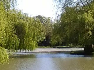 La Lune Lake - Joué-en-Charnie - 5