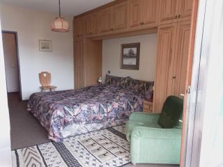 LB4 Seeblick Appartement Haus Landskron mit direktem Seezugang am Ossiachersee - 6