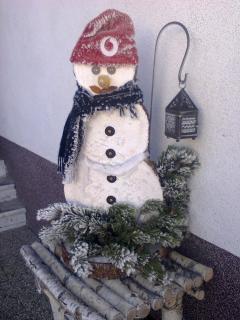 Ferienwohnung Sonnschein - Bad Mitterndorf - 1