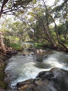 Blyde River Cabins - Hoedspruit - 8