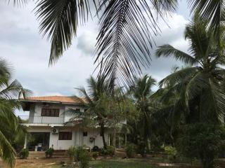 Neem Tree Villa - Serukele - 4