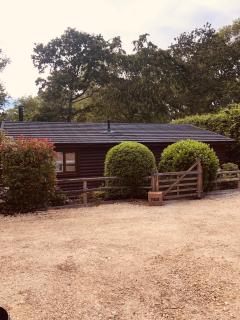 The Granary Cabin, Near Horsham - 0