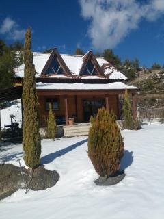 Agros Timber Log House - Agros - 9