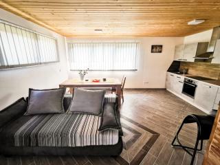 APARTMA NIKA - 9