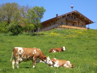 Huberbauernhof Ferienwohnungen - Piding - 1