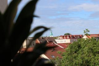 Hotel Albena - garni Hotel - Fürstenwalde/Spree - 5