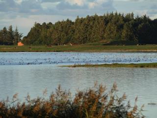 Skibstedborg - naturhytte i Thy - 4