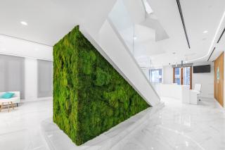 Odyssey Rooms Alicante - Alicante - 5