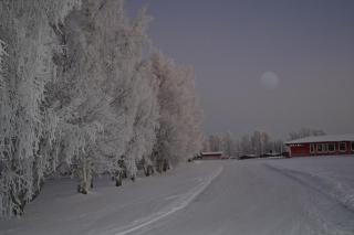 Saarituvat Cottages - 5