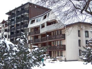 Apartment Le Grépon-1 by Interhome - Chamonix - 6