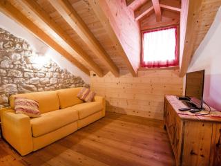 Apartment Albergo Diffuso - Cjasa Ustin-3 by Interhome - Barcis - 5