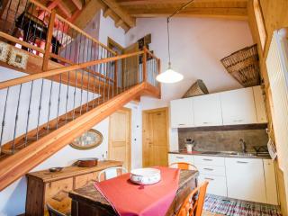 Apartment Albergo Diffuso - Cjasa Ustin-3 by Interhome - Barcis - 7