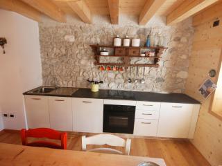 Apartment Albergo Diffuso - Cjasa Ustin-1 by Interhome - Barcis - 2