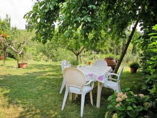 Holiday Home Podere Conte Francesco-La Palma by Interhome - Certaldo - 7