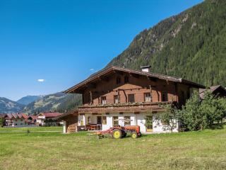 Apartment Gredler-2 by Interhome - Mayrhofen - 0