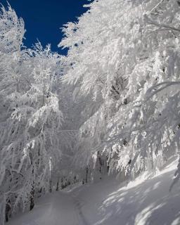 Domek nad Sanem - Zagórz - 5