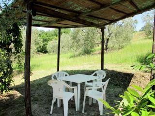 Apartment Le Sodole - Petunia by Interhome - San Gimignano - 4