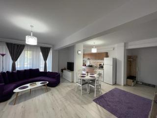 Deny's Apartament - Gura Humorului - 7