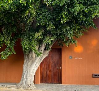 Casa Carmen Reforma - Oaxaca de Juárez - 5