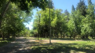 Entrepinos - Mendoza - 9