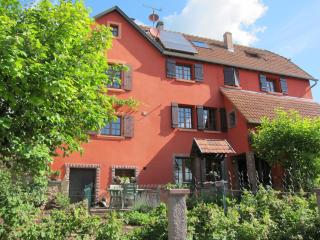 Gîte la Ferme - Mutzig - 0