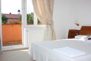 Hotel vila veneto - Timişoara - 5