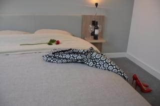 Garni Hotel Plava Laguna - Ćuprija - 9