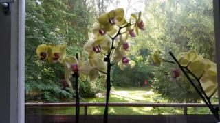 Green Oasis - Berlino - 3