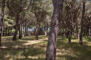 Villetta La Pineta by BarbarHouse - Torre Squillace - 0