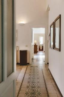 Agapanthus - Matera - 1