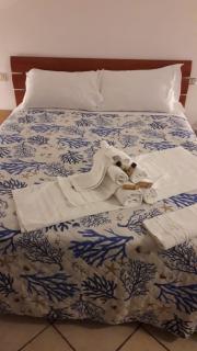 Blue House - 4