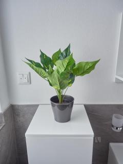 Ferienwohnung zur lustigen Gabi - 1