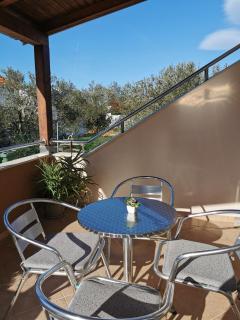 Apartment Alena 1 i 2 - Bibinje - 1