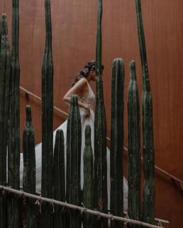 Casa Carmen Reforma - Oaxaca de Juárez - 1