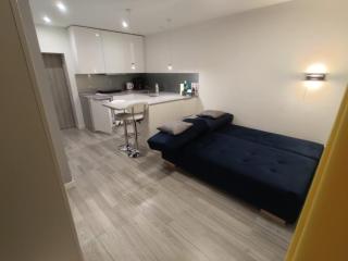 Comfortable Studio only 20 minutes from International Conference Center Katowice best place for WUF2022 EEC TNF OFF etc - Siemianowice Śląskie - 8