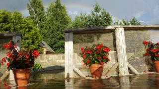 Õuna Puhketalu - 5