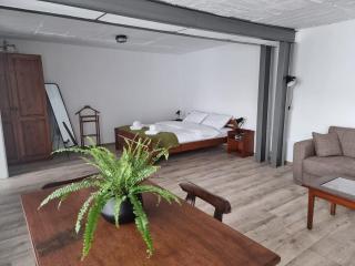 The Cozy Bunker - Sibiu - 5