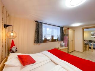 Apartament Jagodzianka Biały Dunajec - Biały Dunajec - 3