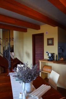 Apartman CASA MARŠIĆ - Oprtalj - 5