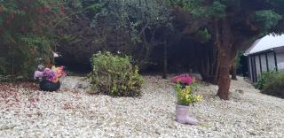 Mulberry House - Maguires Bridge - 9