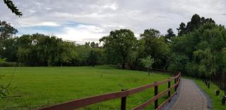 Sema River Lodge - 3