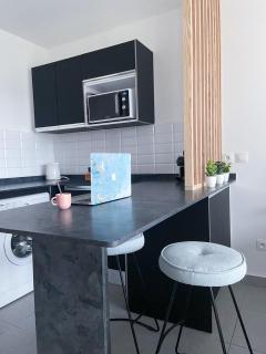 Un Palmier dans la chambre, studio de standing - 6