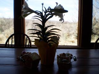 Silver River Adobe Inn Bed and Breakfast - 6