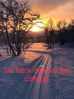 Kulpmo Gård Jarfjord-Kirkenes - 1