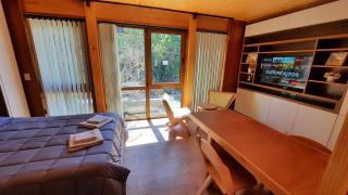 Hermoso monoambiente en el centro de SMA, muy cálido y modernoso V407 - San Martín de los Andes - 6