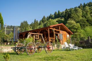 Pensiunea Moeciu Casa Wiarusti - 2