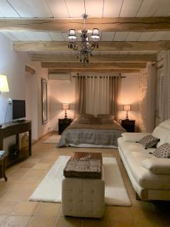 le mas des roses 1884 - Vence - 1