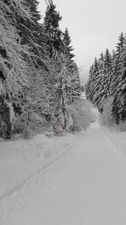 Haus Tippe - Braunlage - 3